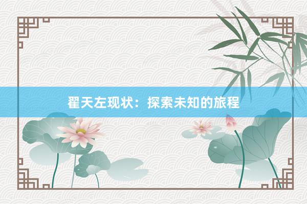 翟天左现状：探索未知的旅程